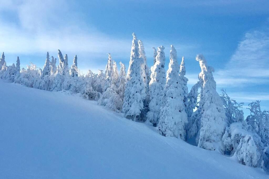 Apartament The Mountainside By Escapades Tremblant Mont-Tremblant Zewnętrze zdjęcie